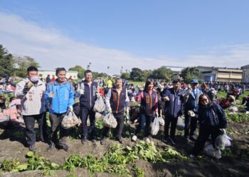 潭子搖滾馬鈴薯推廣活動熱鬧登場 -邀民體驗耕作辛苦及豐收喜悅