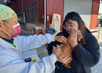 共護毛孩健康-中市動保處犬貓狂犬病巡迴注射活動3月開跑