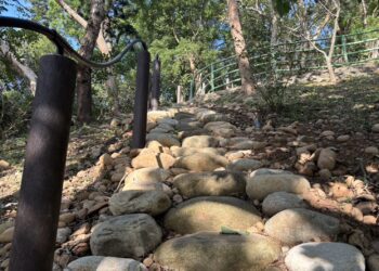 大甲鐵砧山新玩法！桂花泉登山步道邀你體驗手作步道之美