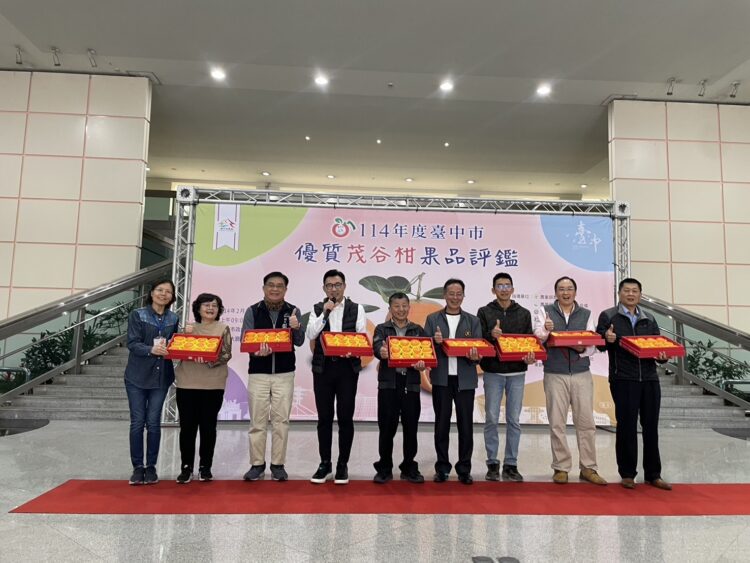 中市茂谷柑果品評鑑-石岡區涂文庭榮獲茂谷柑王！
