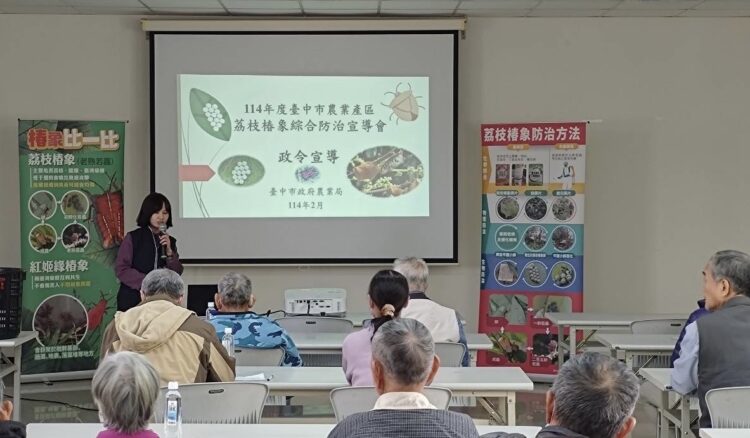 荔枝椿象整合防治啟動-中市大里首場防治宣導講習會登場