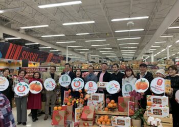 「橘」力拓展非華人市場！-中市農業局輔導台中優質椪柑加拿大三大區超市上架