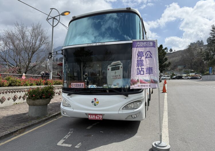 春天花開正好櫻花齊放！中市交通局：228連假武陵櫻花季加開賞櫻專車疏運