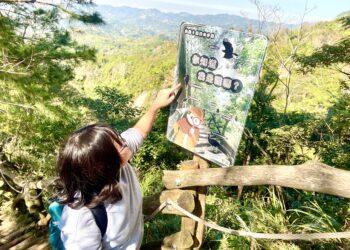 開箱台中大坑賞鳥秘境！中市觀旅局邀民眾探索3號鳥語步道