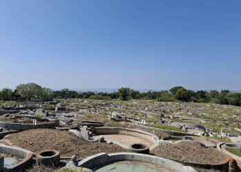 中市府多管齊下防範公墓火警！通報件數、燃燒面積雙縮減-民政局長：掃墓祭袓不燒墓