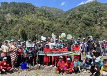 3月植樹月！攜手編織生態綠網-中市農業局攜手學校辦植樹活動