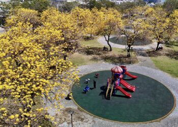 把握最後春日限定美景！台中廍子公園黃花風鈴木盛開炸滿