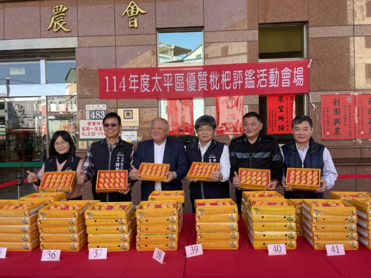 台中市太平區優質枇杷評鑑成績揭曉-農友黃實全、沈阿香勇奪枇杷王
