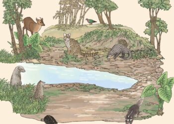 適得其所！中市水利局辦「以動保挺野保巡迴展」提升民眾保育意識