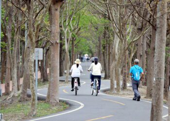 清明連假精選行程-中市觀旅局推暢遊台中潭雅神綠園道