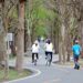 清明連假精選行程-中市觀旅局推暢遊台中潭雅神綠園道