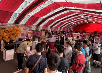 台灣蘭花揚名海外-2025春季蘭花評鑑競賽由何國芳勇奪全場總冠軍