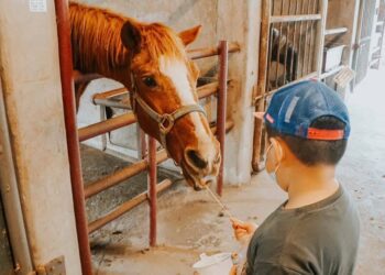 兒童節連假親子出遊首選台中！「馬場體驗、樂園冒險、森林賞螢」限定優惠隨你玩