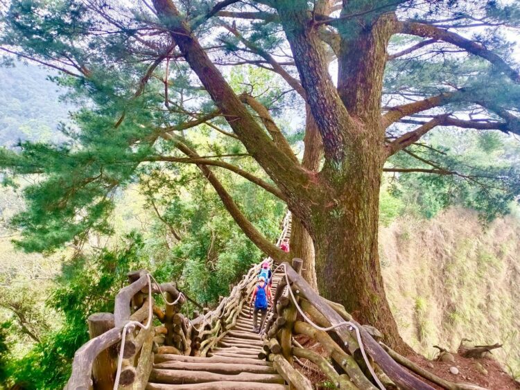 台中大坑眺景秘境開箱！-觀旅局：4月到大坑5號步道感受雲霧繚繞風情
