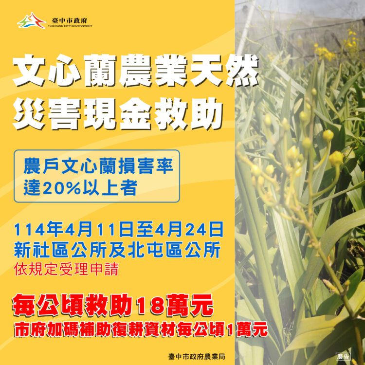 中市新社區及北屯區文心蘭災損-4/24前可申請現金救助