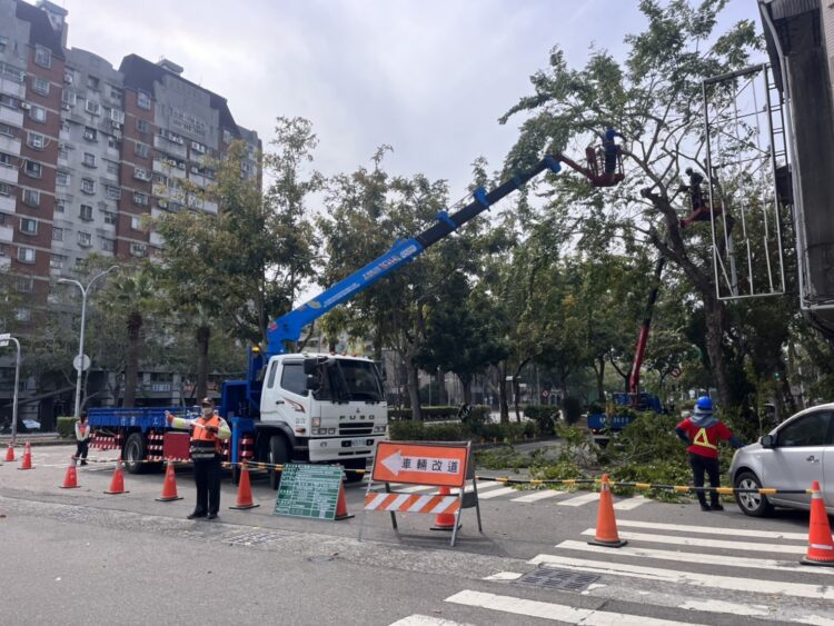 迎戰汛期強風豪雨！-中市建設局將修剪萬株樹木-全面強化都市防災網