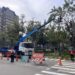 迎戰汛期強風豪雨!-中市建設局將修剪萬株樹木-全面強化都市防災網