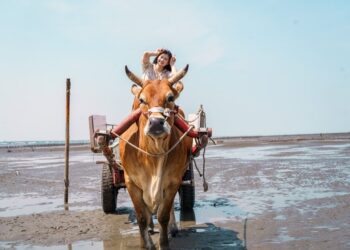 夏日狂歡！彰化濁水溪沿岸精彩行程等你來探索