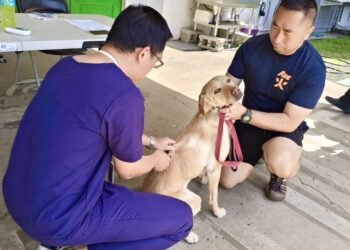 毛英雄健康出任務!動保處提供搜救犬與警犬疫苗保護