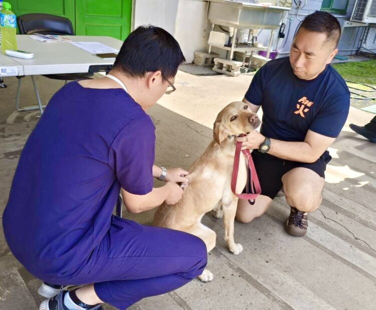 毛英雄健康出任務！動保處提供搜救犬與警犬疫苗保護