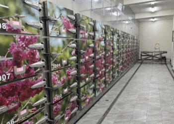 崇德殯儀館冷凍庫升降機功能正常-中市府：定期更換消耗品確保安全