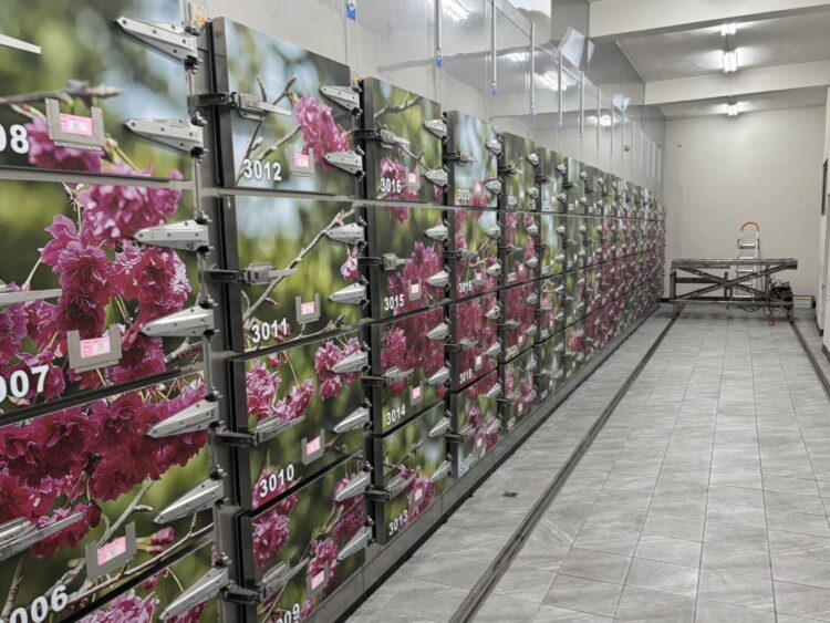 崇德殯儀館冷凍庫升降機功能正常-中市府：定期更換消耗品確保安全