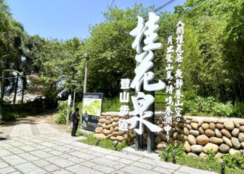 賞花正是時候！-大甲鐵砧山新景點桂花泉步道登場