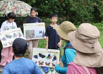 夏日山林化身賞蝶秘境！大坑限定活動5/12開放報名