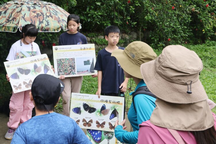 夏日山林化身賞蝶秘境！大坑限定活動5/12開放報名