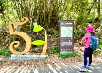 跟著布朗青蛙去旅行！中市觀旅局力邀民眾探索大坑5-1號手作文學步道