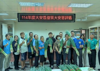 台中優質大安葱盛產期風味絕佳-農友黃加茵勇奪青葱冠軍
