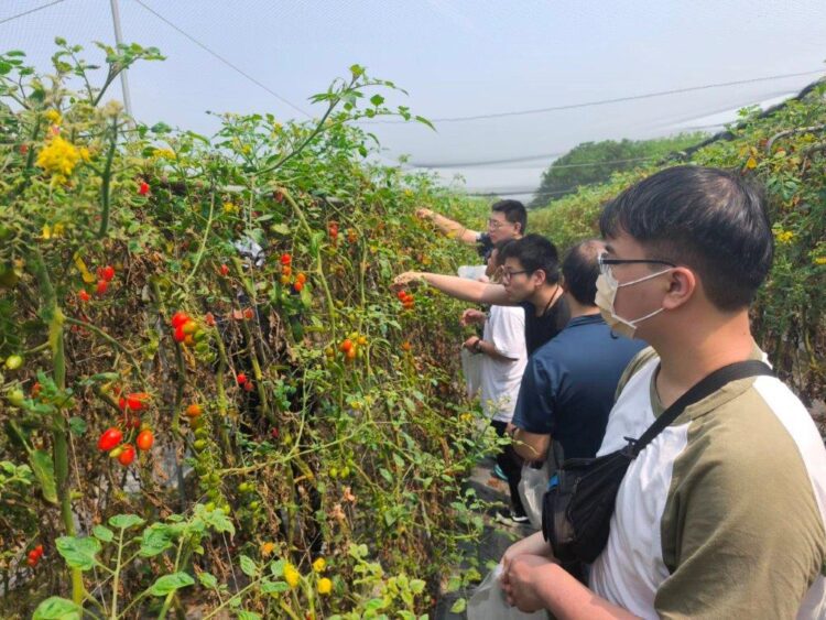 協助身心障礙者探索職涯-中市勞工局與友善企業合作開辦職場體驗營