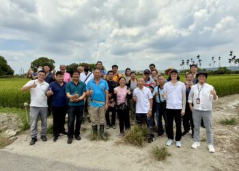 台中好米精進升級！農業局「金賞米匠心種子戶進階培訓」打造稻農專業競爭力