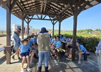 高美濕地露營場優化中 -中市建設局暑期推出「高美最美」生態導覽