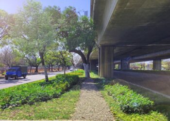 公私協力綠化橋下空間-中市建設局積極推動「台74綠指環」計畫