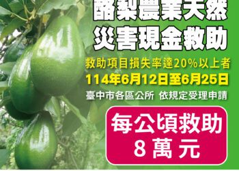 中市酪梨災損6/25前可申請現金救助-農業局加碼補助復耕