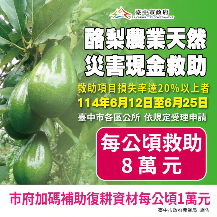 中市酪梨災損6/25前可申請現金救助-農業局加碼補助復耕