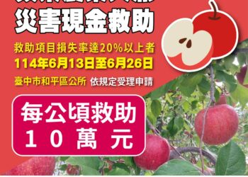 中市和平區蘋果災損-6/26前可申請現金救助