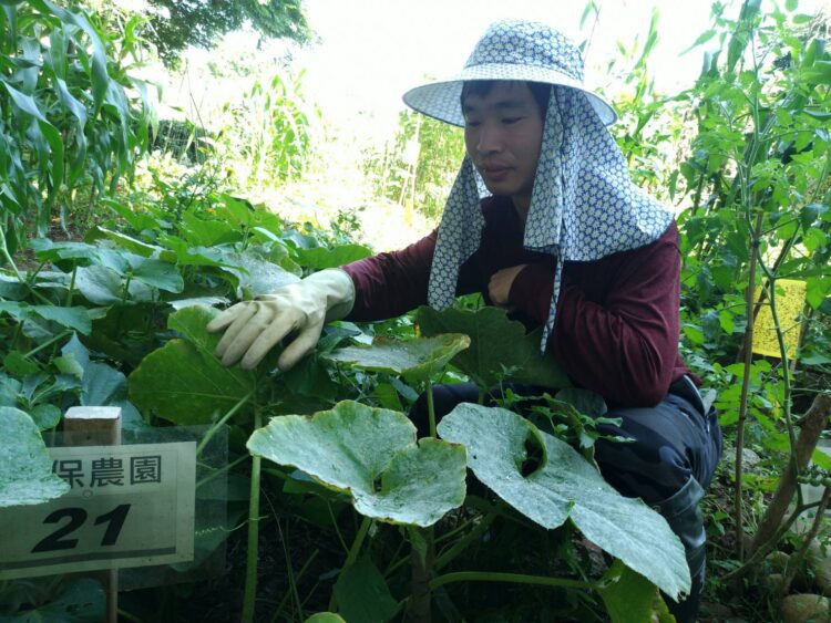 台中環保農園限時報名　30名市民免費享農趣5個月