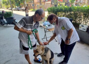 疫起動起來！中市動保處：帶毛孩施打狂犬病疫苗