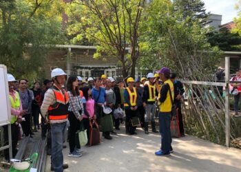 樹木健康我把關！中市建設局全面防治褐根病守護市民安全