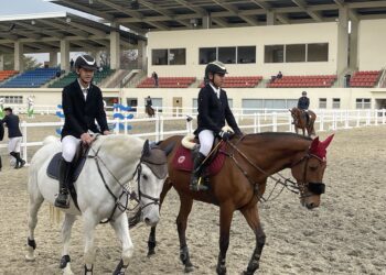 夏日放電行程攻略!水陸樂園、馬術體驗、森林闖關都在台中