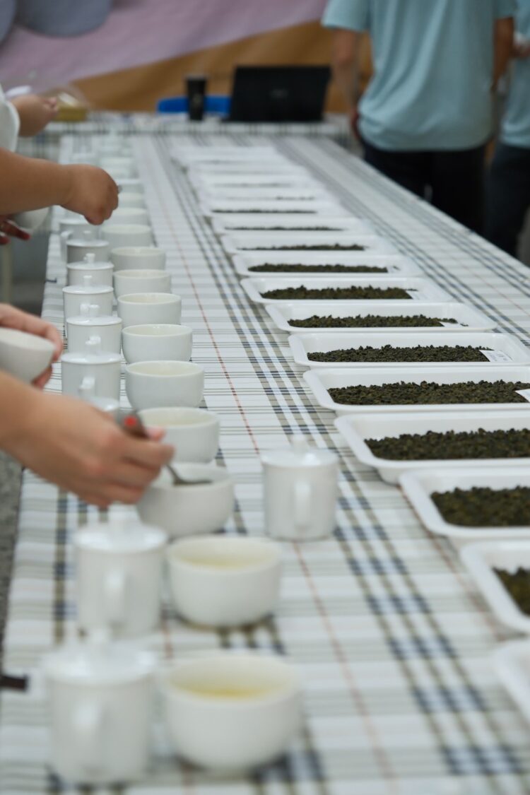 推廣梨山好茶-中市農業局輔導和平區農會辦理評鑑競賽成果出爐