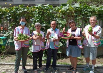 台中北屯家庭中心打造開心農場　蔬果贈500戶弱勢家庭