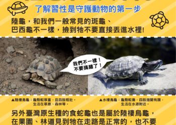 了解習性正確守護野生動物-中市農業局提醒「不干擾、不餵食、不捕捉」