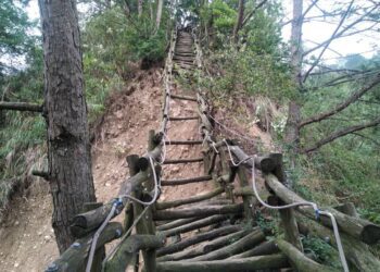 台中大坑3-1、4、10號步道部分封閉整修　市府呼籲勿闖封鎖線