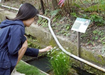 大葉大學打造SDGs校園實踐場域 榮登THE世界大學影響力排名全台第46名