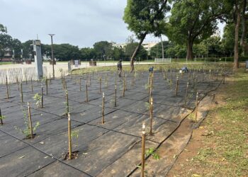 守護原生林相、打造城市綠洲！-中市建設局啟動后里森林公園生態復育工程