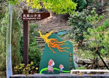 暑期森呼吸！中市觀旅局邀民眾親近山林悠遊登山步道