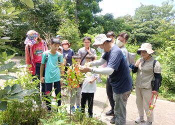 2025大坑蝶螢嘉年華締造跨國感動-日本博士生親證台灣紫斑蝶魅力